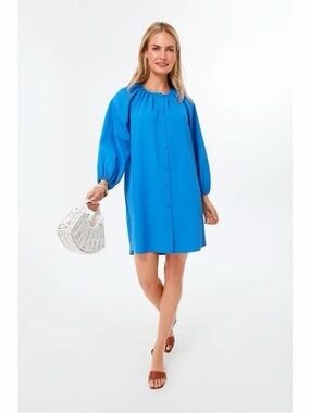 Pomander Place Palmetto Clarke Blue Button Up Long Sleeve Shift Mini Dress Large